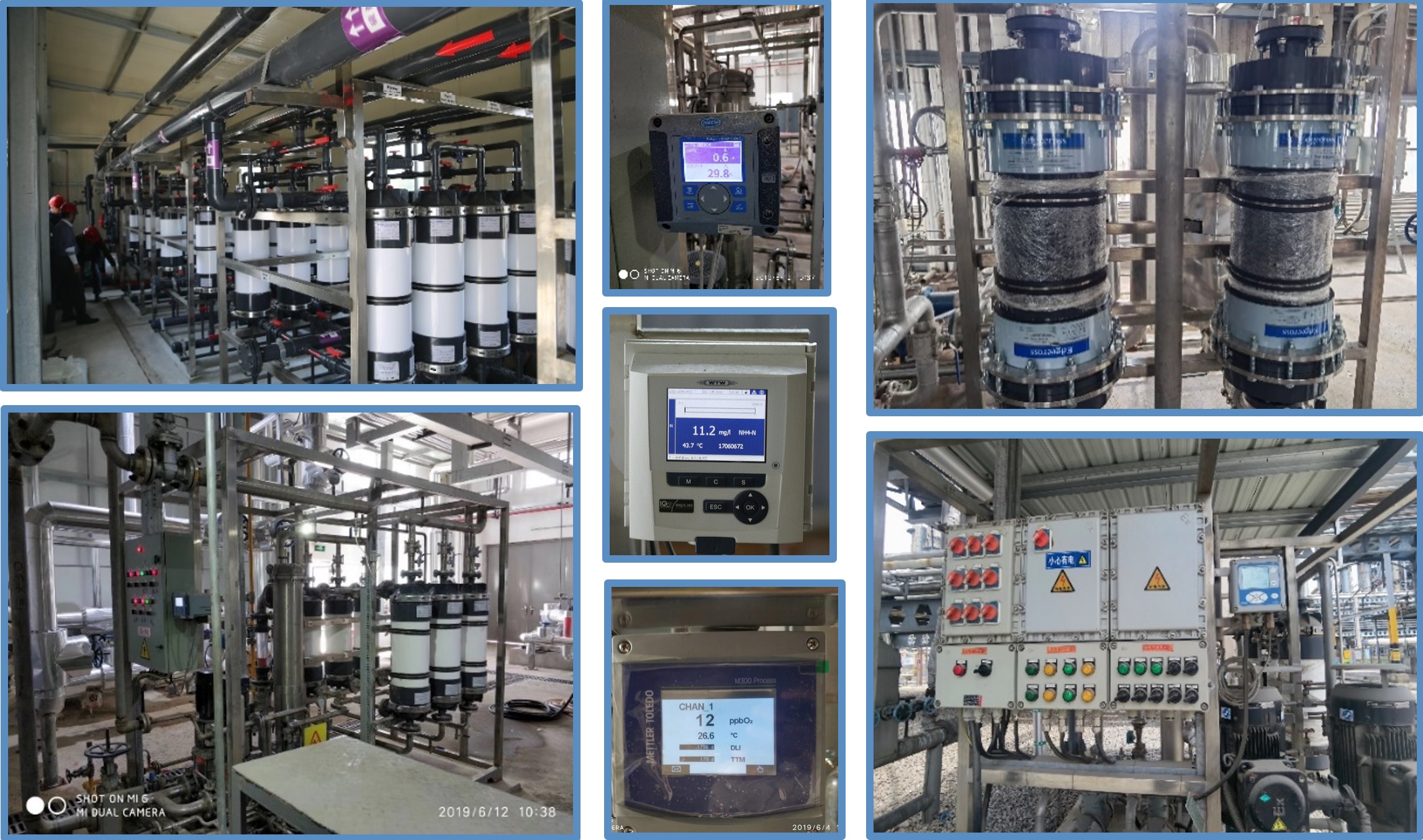 Deamination Process